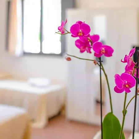 Nuovo Castello Crisilio בית חווה *